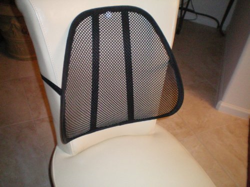 DLUX Ergonomic Lumbar Mesh Back Support With Thicker Strap Than Any Other Mesh Lumbar Support ( For Any Chair)